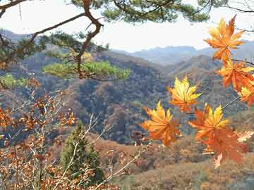 姚官屯乡领导团队引领地方发展新篇章